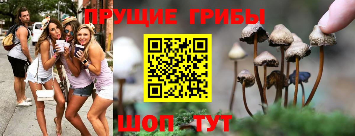 Псилоцибиновые грибы Psilocybine cubensis  Вход с VPN  Омск 